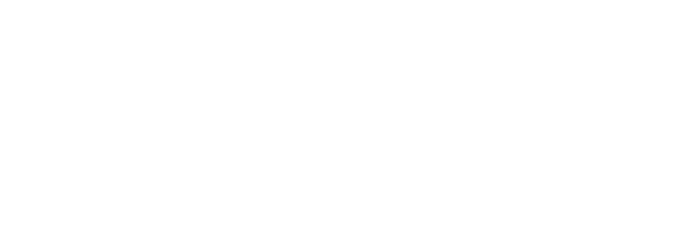 Public Library Association Logo